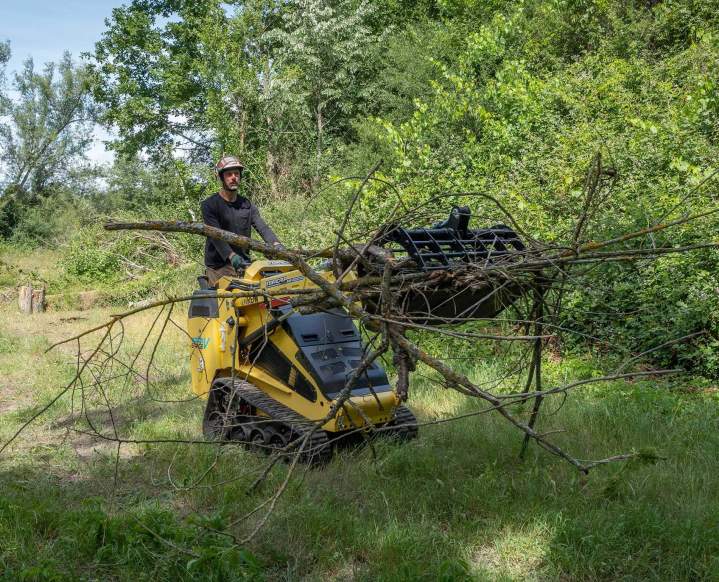 Entretien forestier et prévention des risques.