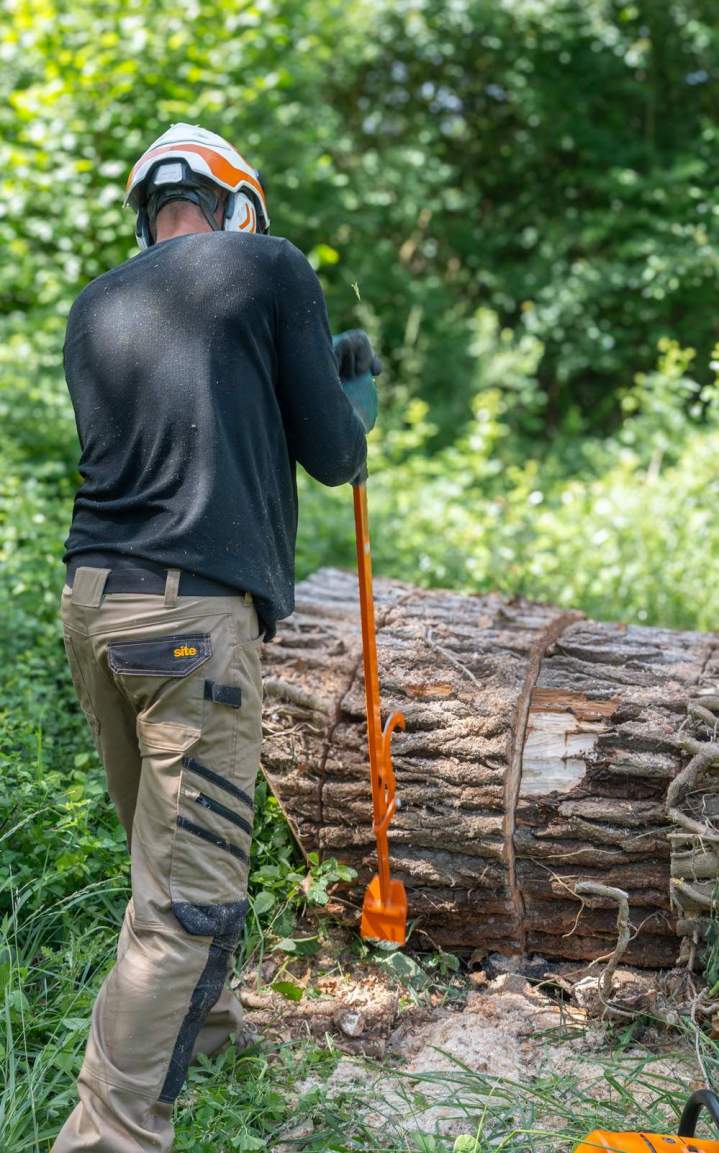 Travaux arboricoles Cournon d'Auvergne (6)