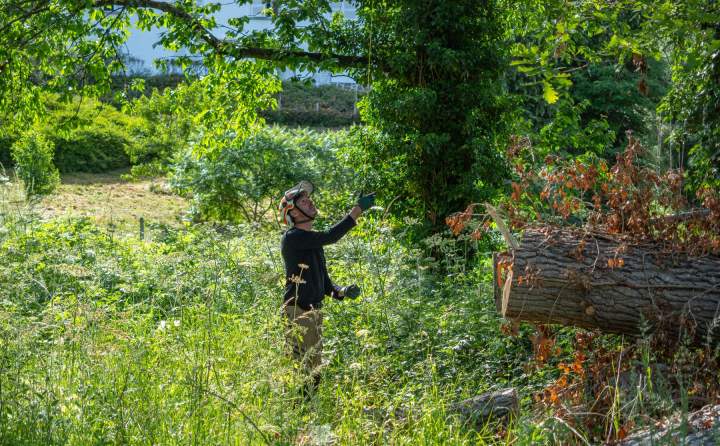 Travaux arboricoles Cournon d'Auvergne (1)