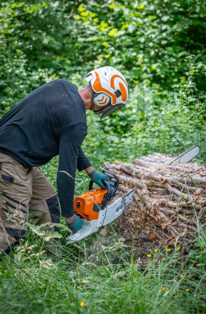 Travaux arboricoles Cournon d'Auvergne (4)